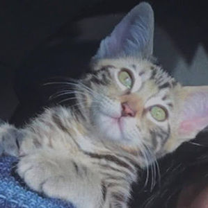 Meet your Posher, Shelly